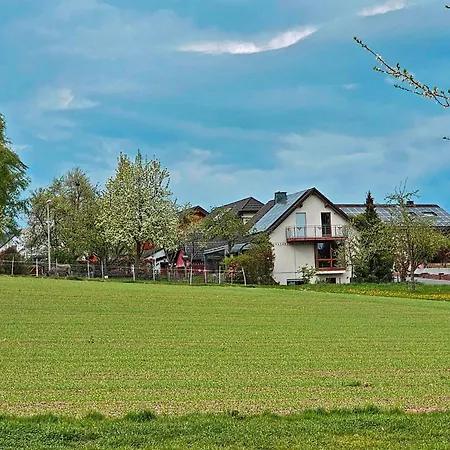 Koehler Heymann Daire