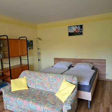 Daire Koehler Heymann